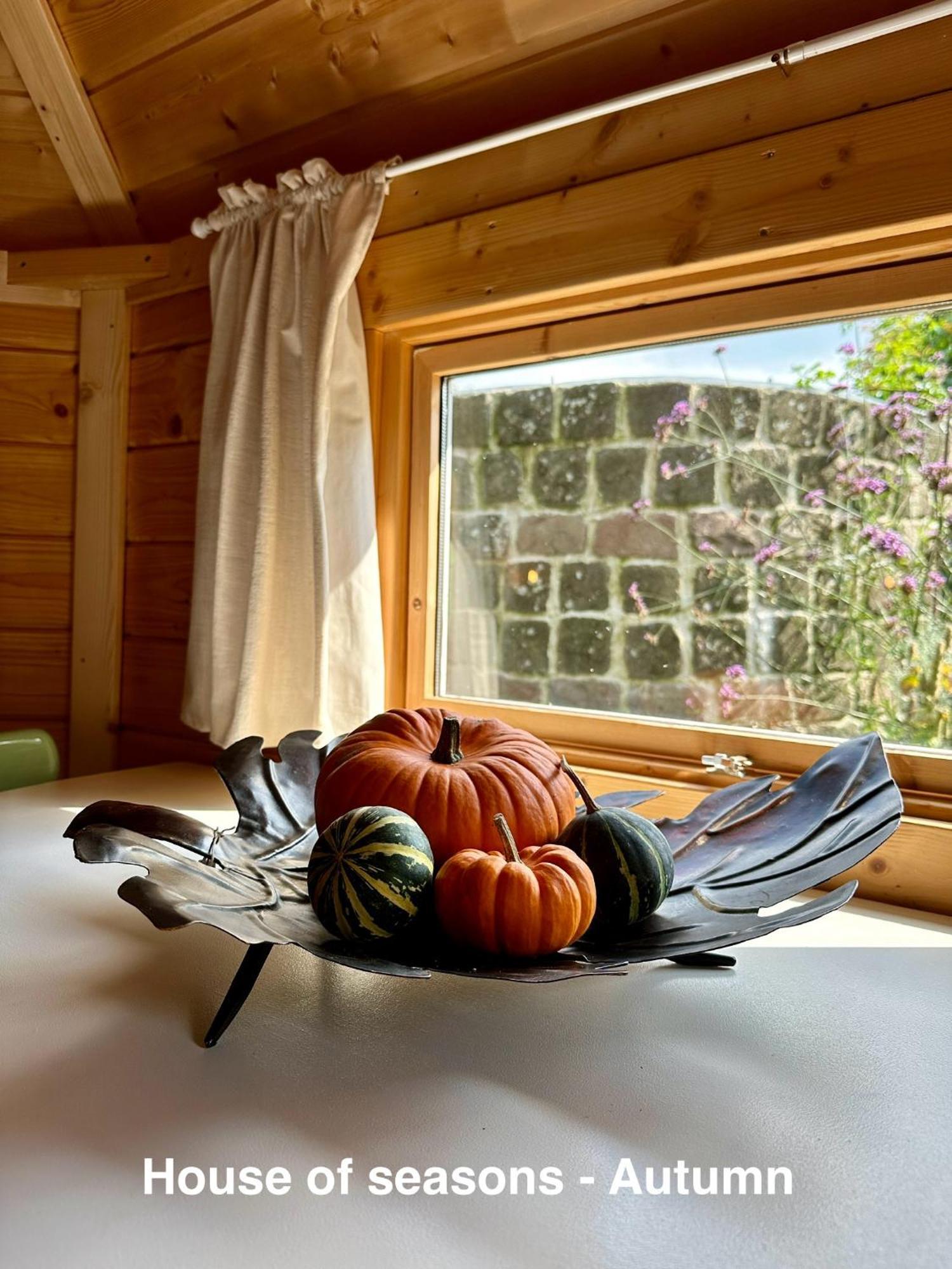 B&B Cosy Garden Alblasserdam Chambre photo